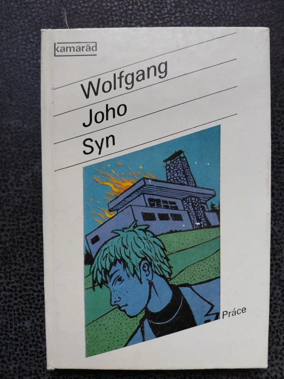 Syn - Wolfgang Joho