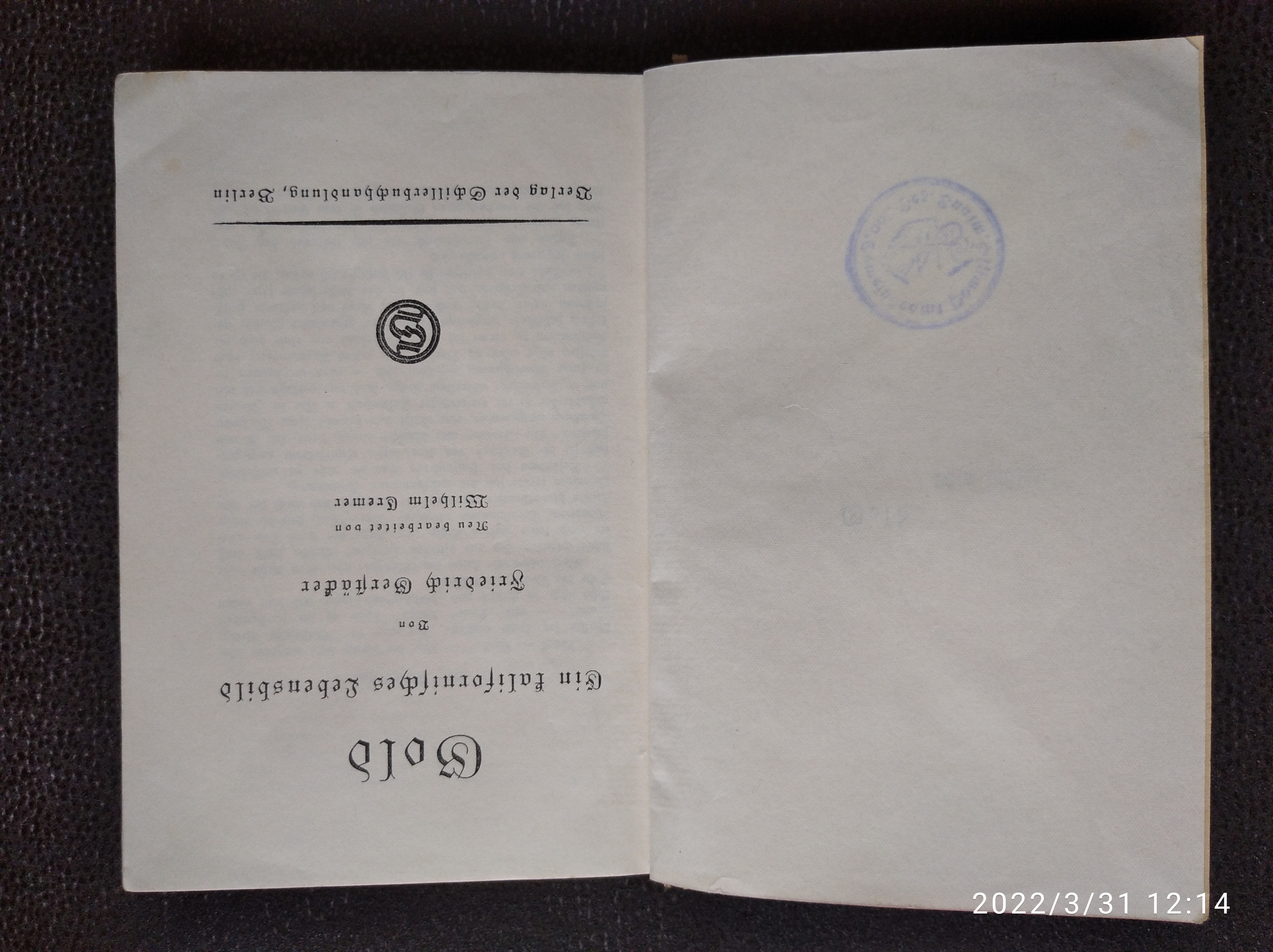 Gold ein kalifornisches Lebensbild - Friedrich Serftaker