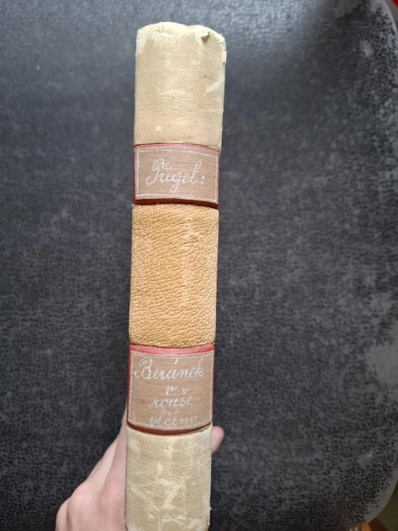 Beránek v rouše vlčím  - Tetjus Tügel