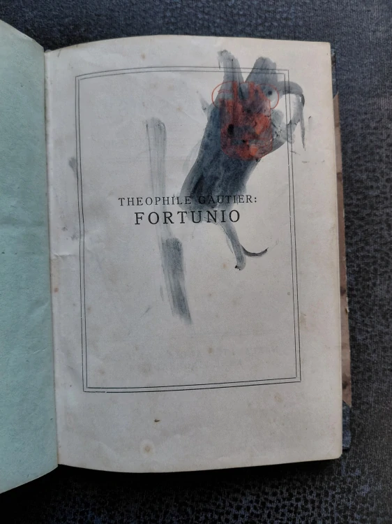 Fortunio - Theophile Gautier