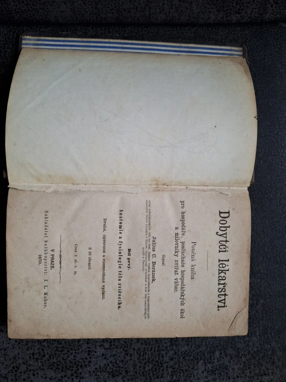 Dobytčí lékařství - Julius C. Beránek