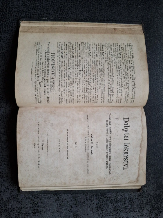 Dobytčí lékařství - Julius C. Beránek