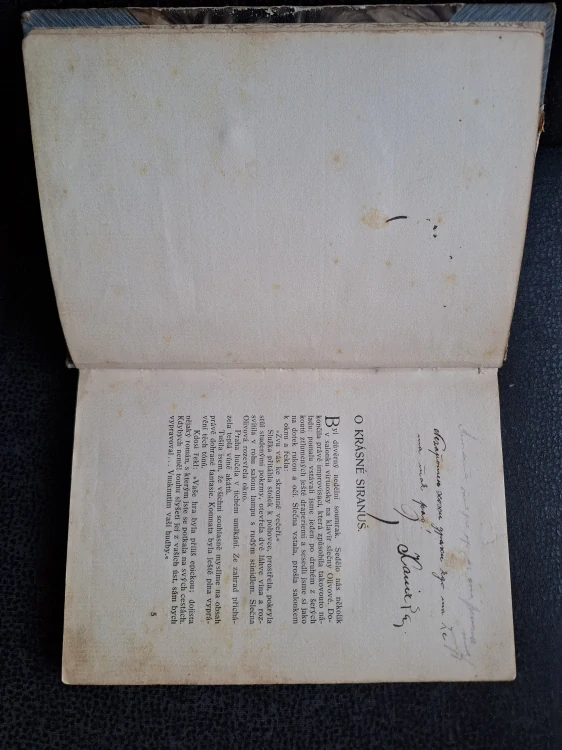 Mimo svět - Růžena Jesenská