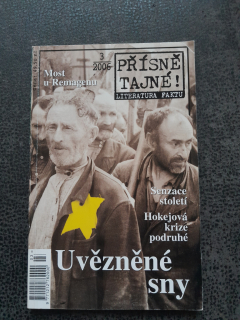Uvězněné sny, Senzace století, Hokejová krize poruhé