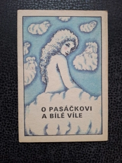 O pasáčkovi a bílé víle - Jiří Tichý