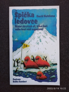 Špička ledovce - David Hutchens