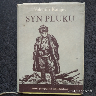 Syn pluku - Valentin Katajev