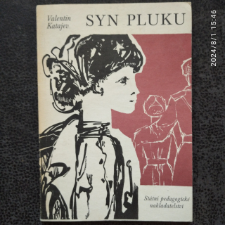 Syn pluku - Valentin Katajev