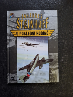 V poslední hodině - Johannes Steinhoff