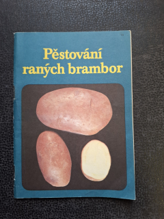 Pěstování raných brambor 