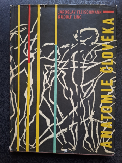 Anatomie člověka - Jaroslav Fleischmann, Rudolf Linc