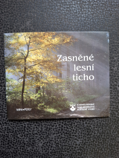 Zasněné lesní ticho 