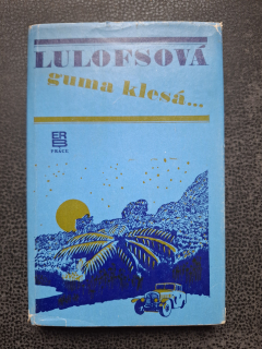 Guma klesá - Madelon Lulofsová