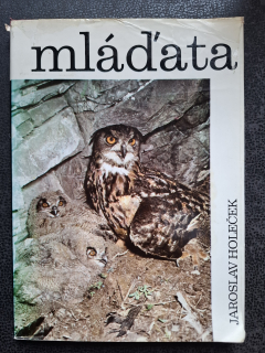 Mláďata - Jaroslav Holeček