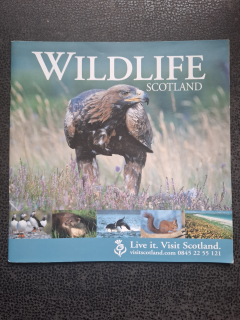 Widllife scotland