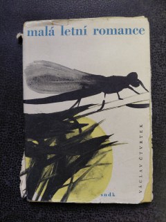 Malá letní romance - Václav Čtvrtek