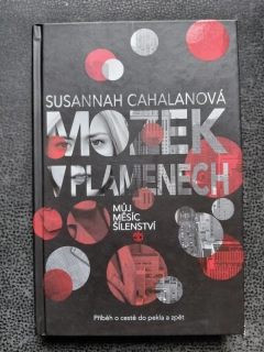 Mozek v plamenech - Můj měsíc šílenství - Susannach Cahalanová