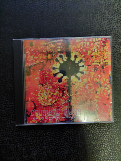 Crushing Bliss - Roman Holý, Ondřej Brousek    CD