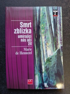 Smrt zblízka umírající nás učí žít - Marie de Hennezci