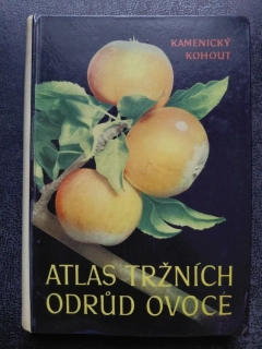 Atlas tržních odrůd ovoce - Kamenický, Kohout