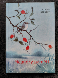 Meandry paměti o výstavách a výtvarnících - Jaroslav Bránský