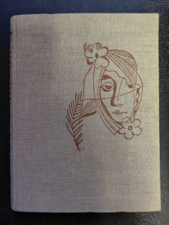 Velké děti - Bohumil Novák