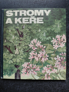 Stromy a keře - Regine Sussková