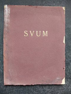 Almanach sdružení výtvarných umělců moravských v Hodoníně 1924-1925
