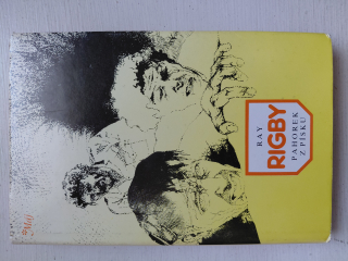 Pahorek z písku - Ray Rigby