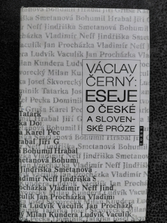 Eseje o české a slovenské próze - Černý Václav